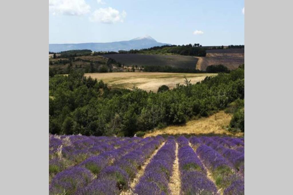 Chambre D Hotes Dans Le Vaucluse Mazan Εξωτερικό φωτογραφία