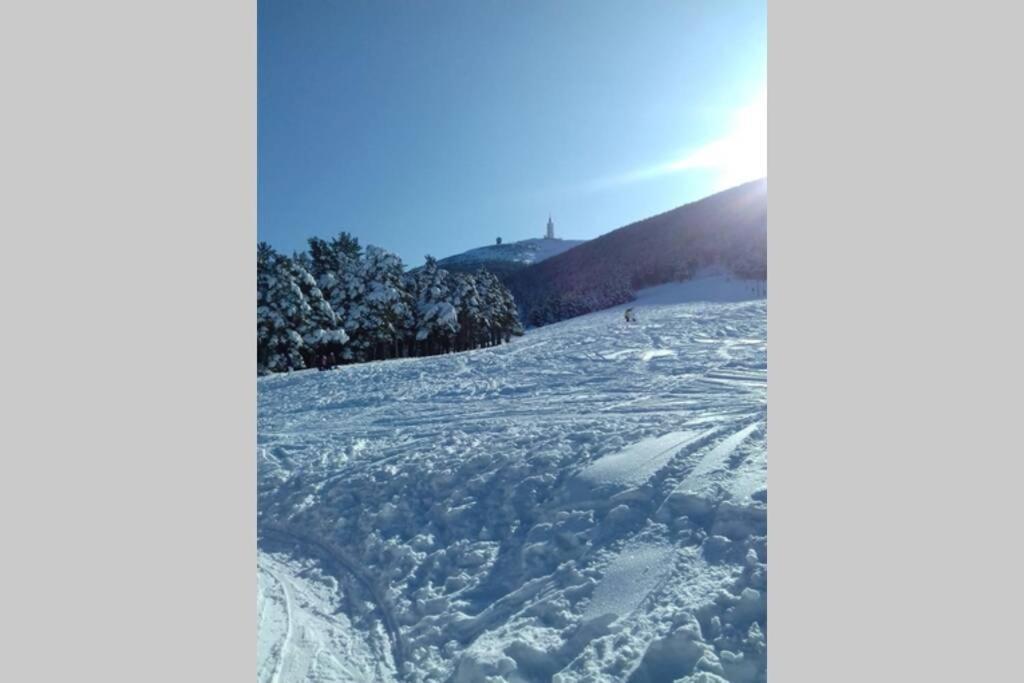 Chambre D Hotes Dans Le Vaucluse Mazan Εξωτερικό φωτογραφία