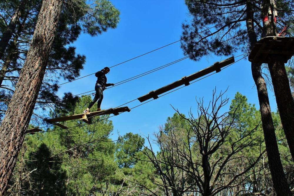Chambre D Hotes Dans Le Vaucluse Mazan Εξωτερικό φωτογραφία