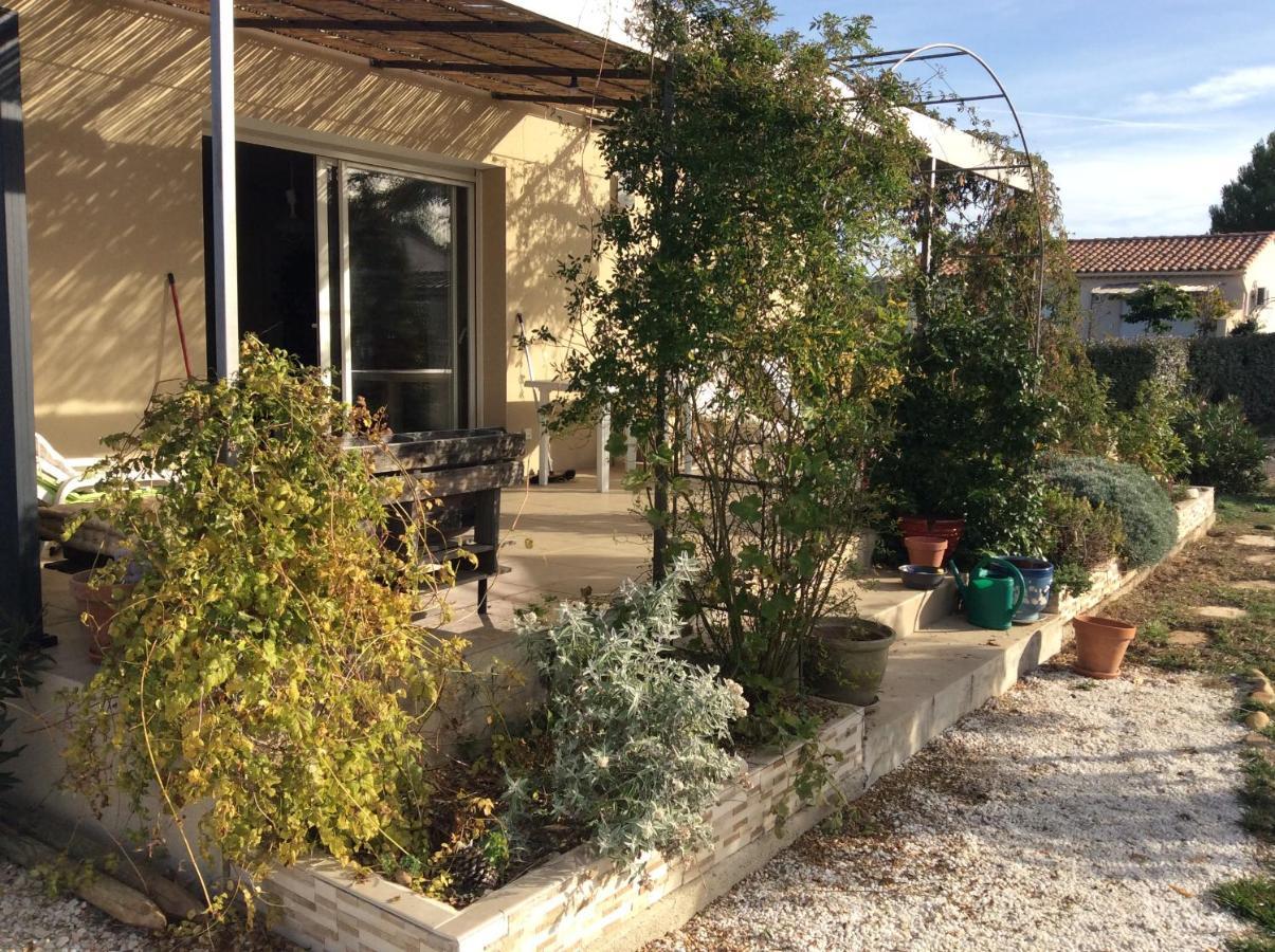 Chambre D Hotes Dans Le Vaucluse Mazan Εξωτερικό φωτογραφία