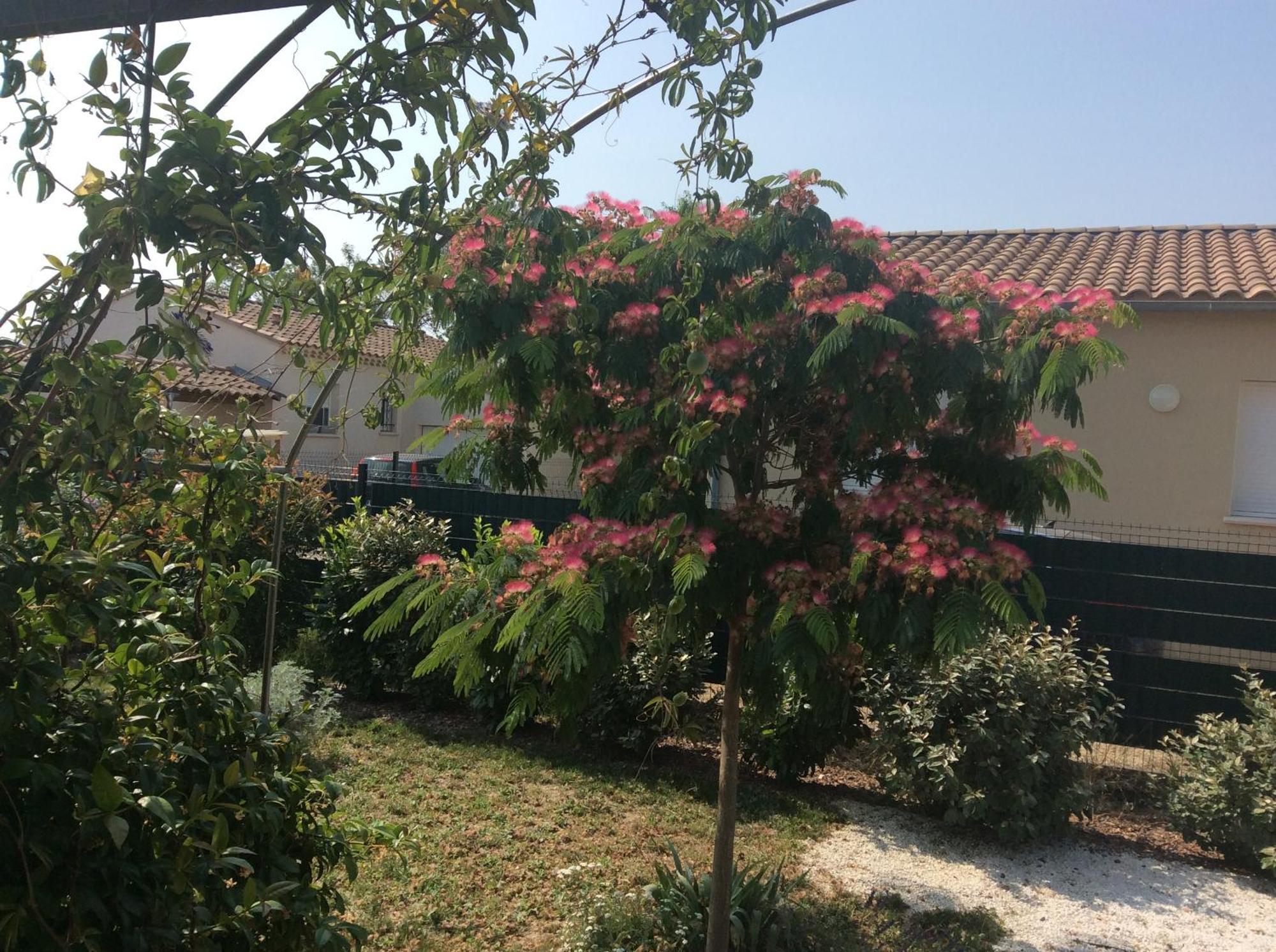 Chambre D Hotes Dans Le Vaucluse Mazan Εξωτερικό φωτογραφία