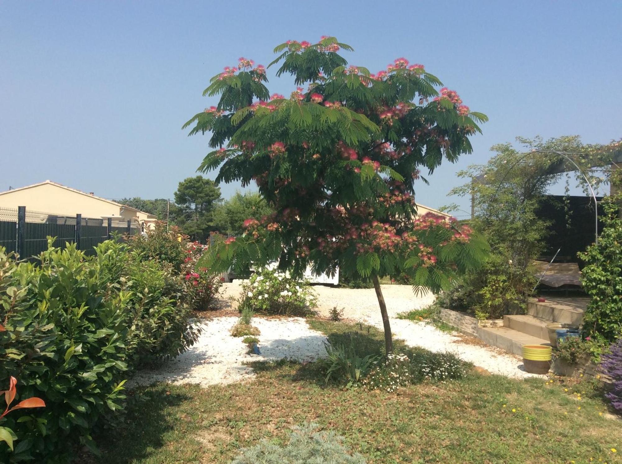 Chambre D Hotes Dans Le Vaucluse Mazan Εξωτερικό φωτογραφία